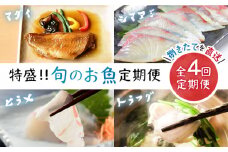 【旬のお魚定期便】大島の海の幸を贅沢定期便に！＜大島水産種苗＞ [CBW013]