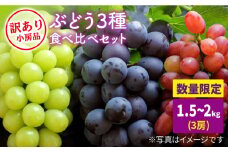 【訳あり】【ご家庭用におすすめ♪】県内唯一の技術で栽培した「ぶぶぶどう」ぶどう3色食べ比べ（1.5～2.0kg） [CCE008]