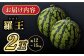スイカ 羅王 2玉