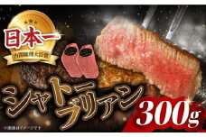 シャトーブリアン ステーキ 長崎和牛 約300g （2枚）＜株式会社 黒牛＞ [CBA014] 和牛 国産 しゃとーぶりあん ヒレ ひれ 焼肉 ステーキ 和牛 国産 焼肉 ステーキ シャトーブリアン ヒレ ひれ 希少部位 しゃとーぶりあん 肉 和牛 シャトーブリアン 牛肉 長崎和牛 焼肉 BBQ バーベキュー
