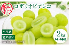 【数量限定】【訳あり】ロザリオビアンコ約2kg（4房～6房）＜岡本ぶどう園＞ [CEN002]