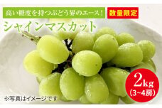 【数量限定】 とにかく甘い！シャインマスカット約2kg（3房～4房）＜岡本　満博＞ [CEN003]
