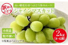 【ランキング1位獲得！】【残りわずか！】【訳あり】とにかく甘い！シャインマスカット約2kg（4房～6房）＜岡本　満博＞ [CEN004]