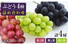 【数量限定】ぶどう4種詰め合わせ（4房）＜岡本　満博＞ [CEN007]