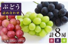 【数量限定】 ぶどう4種詰め合わせ 約5kg（8房）＜岡本　満博＞ [CEN008]