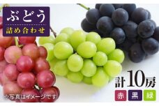 【数量限定】ぶどう詰め合わせ 約5キロ（10房）＜岡本　満博＞ [CEN009]
