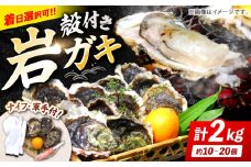 【日時指定】【数量限定】牡蠣 岩ガキ 約 2kg （約10個～20個）便利なナイフ・軍手付き♪  ＜ハマフジ水産＞ [CES001]牡蠣 カキ かき 生牡蠣 岩牡蠣 ナイフ付き 殻付き牡蠣 かき カキ