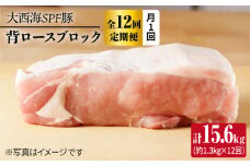 【月1回約1.3kg×12回定期便】大西海SPF豚 背ロースブロック 計15.6kg 訳あり ＜大西海ファーム [CEK117]