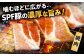 国産 SPF豚 焼肉 しゃぶしゃぶ スライス