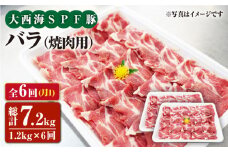 【月1回1.2kg×6回定期便】大西海SPF豚 バラ（焼肉用）計7.2kg 訳あり ＜大西海ファーム [CEK083]
