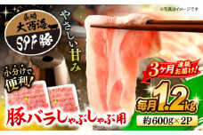 【月1回1.2kg×3回定期便】大西海SPF豚 バラ（しゃぶしゃぶ用）計3.6kg 訳あり ＜大西海ファーム＞ [CEK084]