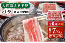 【月1回1.2kg×6回定期便】大西海SPF豚 バラ（焼肉＆しゃぶしゃぶ用）計7.2kg 訳あり ＜大西海ファーム＞ [CEK087]