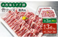 【月1回1.2kg×3回定期便】大西海SPF豚 背ロース（焼肉用）計3.6kg 訳あり ＜大西海ファーム＞ [CEK096]