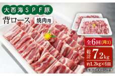 【月1回1.2kg×6回定期便】大西海SPF豚 背ロース（焼肉用）計7.2kg 訳あり ＜大西海ファーム＞ [CEK097]