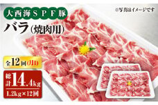 【月1回約1.2kg×12回定期便】大西海SPF豚 バラ（焼肉用）計14.4kg 訳あり ＜大西海ファーム [CEK121]