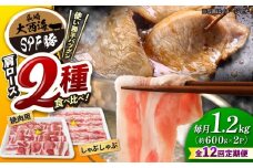 【12回定期便】 国産豚 大西海 SPF豚 肩ロース（焼肉＆しゃぶしゃぶ用）計1.2kg 訳あり ＜大西海ファーム＞ [CEK124] 長崎 西海 国産 豚肉 ロース スライス しゃぶしゃぶ 焼肉 SPF豚 しゃぶしゃぶ スライス 豚肉 便利
