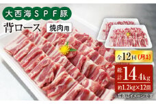 【月1回約1.2kg×12回定期便】大西海SPF豚 背ロース（焼肉用）計14.4kg 訳あり ＜大西海ファーム＞ [CEK128]