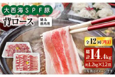【月1回約1.2kg×12回定期便】大西海SPF豚 背ロース（焼肉＆しゃぶしゃぶ用）計14.4kg 訳あり ＜大西海ファーム＞ [CEK129]