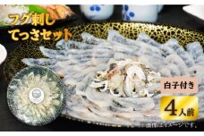 【数量限定】 フグ 刺し 4人前 てっさ セット 白子 付き＜大島水産種苗＞ [CBW016] 長崎 西海 ふぐ フグ ふく 刺身 フグ 鍋 贈答 ギフト