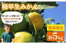 【先行予約】【10月中旬より順次発送】 極早生みかん （岩崎・上野）約5kg  ＜Da・IWASAKI FARM＞ [CCZ002] みかん ミカン 柑橘 西海みかん 早生みかん 贈答 ギフト みかん
