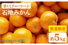 みかん 西海 【☆先行予約☆】 石地 みかん 約5kg  みかんミカン 西海市 温州みかん 石地みかん 贈答 ギフト 家庭用 ＜中尾果樹園＞ [CEL002]
