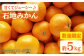 石地みかん 約5kg