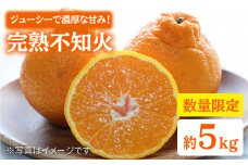 みかん デコポン 【3月下旬より順次発送】【贈答用にも♪】 屋根かけ 完熟 不知火 約5kg ＜中尾果樹園＞ [CEL003] 長崎 西海 みかん ミカン デコポン でこぽん 5kg 完熟 贈答 ギフト