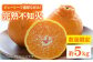 不知火 デコポン 5kg