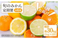 みかん 【11月から毎月届く♪6回定期便】 旬の みかん 定期便 西海市 みかん 蜜柑 柑橘 定期便 みかん ミカン みかん ＜中尾果樹園＞ [CEL005]