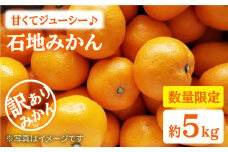 みかん 西海【 訳あり 】 石地みかん 約5kg  みかん ミカン 西海市 温州みかん 石地みかん 贈答 ギフト 家庭用 ＜中尾果樹園＞ [CEL006]