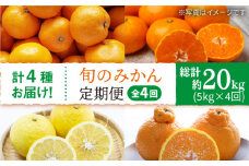 みかん 【1月から毎月届く♪4回定期便】旬の みかん 定期便 西海市 みかん 蜜柑 柑橘 みかん ミカン 定期便 ＜中尾果樹園＞ [CEL008]