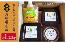 【数量限定】厳選お味噌4種（麦みそ、塩分上手みそ、鉄火みそ、柑ねりみそ）計1220g＜大島SOY-ne＞ [CBX002]