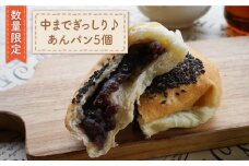 【数量限定】中までぎっしり♪ あんパン 5個＜岡崎製パン所＞ [CEP022]   長崎 西海 ぱん パン 食パン あんパン パン 贈答 ギフト 冷凍パン