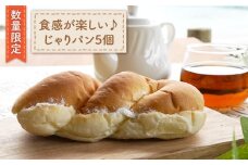 【数量限定】食感がたまらない！ じゃり パン 5個＜岡崎製パン所＞ [CEP028] 長崎 西海 ぱん パン じゃりパン パン 贈答 ギフト 冷凍パン