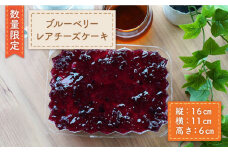 【数量限定】特大！ブルーベリーレアチーズケーキ＜岡崎製パン所＞ [CEP033]