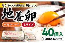 卵 最高級 地養 卵 Lサイズ 40個 長崎県産 西海市 たまご 卵 玉子 赤玉 鶏卵 卵かけご飯 卵焼き たまご ＜垣山養鶏園＞ [CBB001]