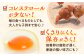 卵 卵 たまご 赤玉