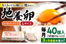 【3回定期便】最高級 卵 地養卵 Lサイズ 40個×3回定期便 長崎県産 西海市 たまご 卵 玉子 タマゴ 鶏卵 オムレツ 卵かけご飯 朝食 料理 人気 卵焼き＜垣山養鶏園＞ [CBB002]