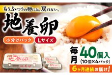 【6回定期便】最高級 卵 地養卵 Lサイズ 40個×6回定期便 長崎県産 西海市 たまご 卵 玉子 タマゴ 鶏卵 オムレツ 卵かけご飯 朝食 料理 人気 卵焼き＜垣山養鶏園＞ [CBB003]