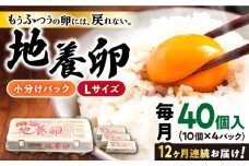 卵 たまご 【12回定期便】最高級 卵 かきやまの「地養 卵 」 Lサイズ 40個＜垣山養鶏園＞ [CBB004] 卵 国産 たまご たまご 卵 玉子 タマゴ 鶏卵 たまごやき 卵かけご飯 卵焼き たまご 西海市産 