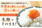卵 たまご Lサイズ 40個入り