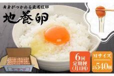 【6回定期便】最高級 卵 地養卵 Mサイズ 90個×6回定期便 長崎県産 西海市 たまご 卵 玉子 タマゴ 鶏卵 オムレツ 卵かけご飯 朝食 料理 人気 卵焼き＜垣山養鶏園＞ [CBB007]
