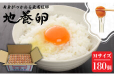 最高級 卵 地養卵 Mサイズ 180個 長崎県産 西海市 たまご 卵 玉子 赤玉 鶏卵 オムレツ 卵かけご飯 朝食 料理 人気 卵焼き＜垣山養鶏園＞ [CBB009]