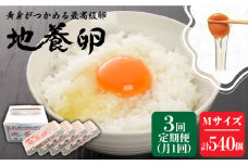 【3回定期便】最高級 卵 地養卵 Mサイズ 180個×3回定期便 長崎県産 西海市 たまご 卵 玉子 タマゴ 鶏卵 オムレツ 卵かけご飯 朝食 料理 人気 卵焼き＜垣山養鶏園＞ [CBB010]
