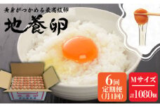【6回定期便】最高級 卵 地養卵 Mサイズ 180個×6回定期便 長崎県産 西海市 たまご 卵 玉子 タマゴ 鶏卵 オムレツ 卵かけご飯 朝食 料理 人気 卵焼き＜垣山養鶏園＞ [CBB011]