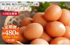 【毎月40個×12回 定期便 】 平飼い 「 しあわせ たまご 」計480個＜松本養鶏場＞ [CCD030]