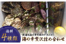 【数量限定】ハマボウセット 海の幸贅沢詰め合わせ ＜ハマフジ水産＞ [CES004]