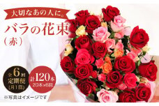 【6回定期便】【記念日には バラ を送ろう】 バラ の 花束 （赤） 花 花束 バラ ばら ブーケ 記念日 贈答 ギフト プレゼント ＜花工房るふらん＞ [CCR021]