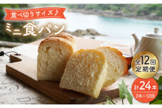 【12回定期便】食べきりサイズ♪ミニ食パン2本＜岡崎製パン所＞ [CEP040]