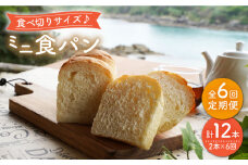 【6回定期便】食べきりサイズ♪ミニ食パン2本＜岡崎製パン所＞ [CEP039]